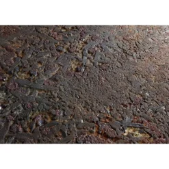 Pamono 590 Million Years Love Table by Alina Alamorean