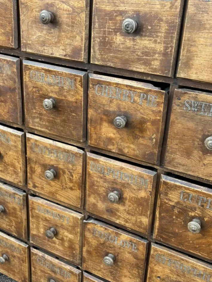 Pamono Antique Bank of Shop 25 Drawers Clearance