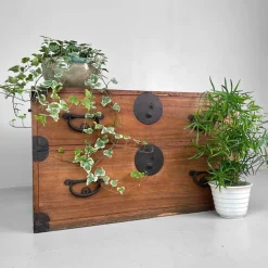 Pamono Antique Japanese Meiji Tansu Chest of Drawers, 1900s Clearance