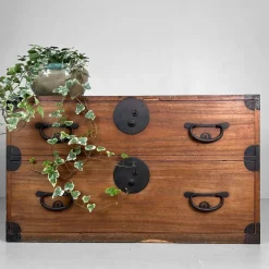 Pamono Antique Japanese Meiji Tansu Chest of Drawers, 1900s Clearance
