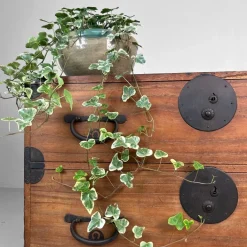 Pamono Antique Japanese Meiji Tansu Chest of Drawers, 1900s Clearance