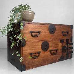 Pamono Antique Japanese Meiji Tansu Chest of Drawers, 1900s Best