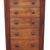 Pamono Antique Mahogany Wellington Chest of 7 Drawers, 19th Century Online