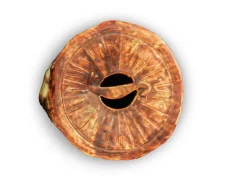 Pamono Antique Majolica Ceramic Garden Stool from Thomas Forester & Sons Sale