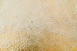 Pamono Antique Nesting Tables by Prof. Josef Hoffmann for Jacob & Josef Kohn, 1905, Set of 4 New