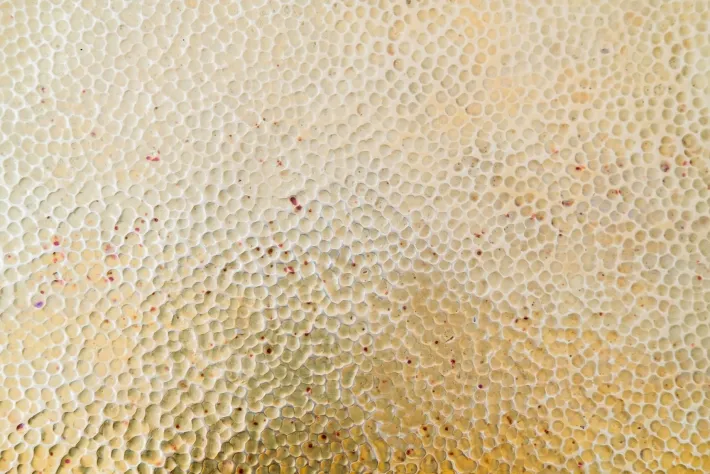 Pamono Antique Nesting Tables by Prof. Josef Hoffmann for Jacob & Josef Kohn, 1905, Set of 4 New