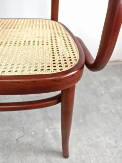 Pamono Art Nouveau Bench in Bentwood with Cane Seat, Austria, 1890s Discount