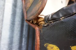 Pamono Belgian Steamer Trunk from Gustave de Laet, 1880s Sale