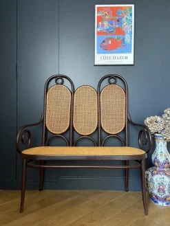 Pamono Bench in Bentwood and Canework by Michael Thonet for Thonet Hot