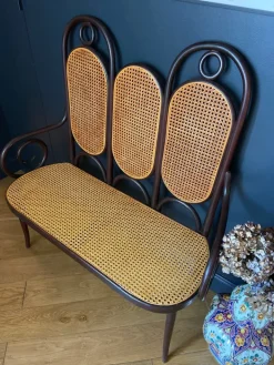 Pamono Bench in Bentwood and Canework by Michael Thonet for Thonet Hot