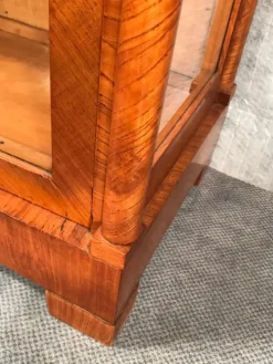 Pamono Biedermeier Display Cabinet, Austria, 1820s