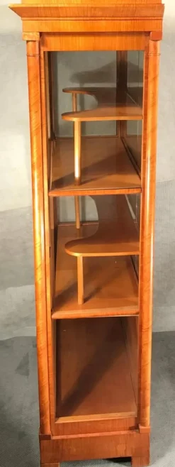 Pamono Biedermeier Display Cabinet, Austria, 1820s
