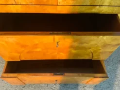 Pamono Biedermeier Secretaire in Birch, 1820 Online