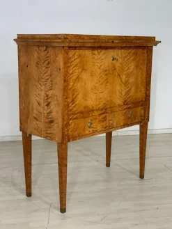 Pamono Biedermeier Secretary Cabinet, 1830s Clearance
