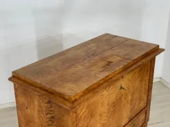 Pamono Biedermeier Secretary Cabinet, 1830s Clearance