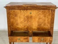 Pamono Biedermeier Secretary Cabinet, 1830s Clearance