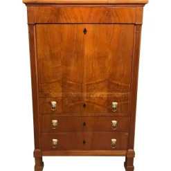 Pamono Biedermeier Secretary Desk, 1820s New