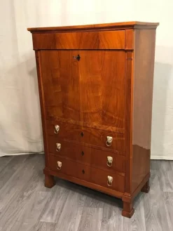 Pamono Biedermeier Secretary Desk, 1820s New