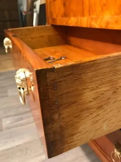 Pamono Biedermeier Secretary Desk, 1820s New