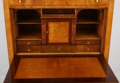 Pamono Biedermeier Secretary in Pearwood, Braunschweig, Germany, 1820s New