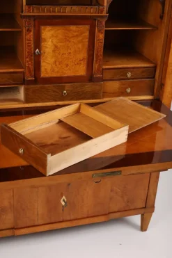 Pamono Biedermeier Secretary in Pearwood, Braunschweig, Germany, 1820s New