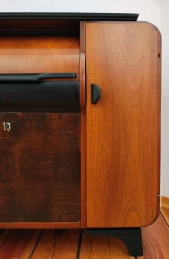 Pamono Cabinet by J. Halabala for Up Závody, 1930s Clearance