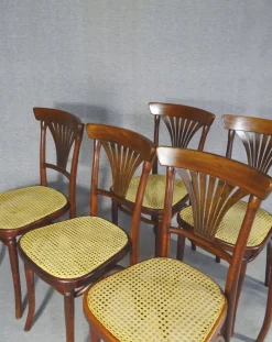 Pamono Caned Chairs by Michael Thonet for Gebrüder Thonet, Set of 6 Hot