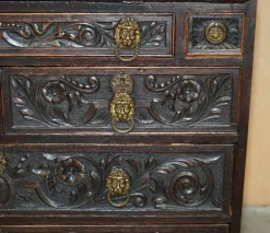Pamono Carved English Oak Library Desk with Lions Head Brass Handles, 1860s New