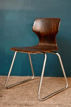 Pamono Chairs by Elmar Flötotto for Pagholz Flötotto, 1970s, Set of 4 Online