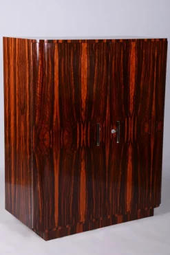 Pamono Czech Bauhaus Wardrobe in Maple and Macassar Ebony, 1920s Discount