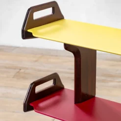 Pamono DB3 Bookcase by Ico Parisi, 1950s Outlet