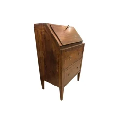 Pamono Directory Style Bureau Secretaire, France, 19th Century