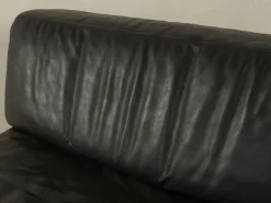 Pamono DS-76 Chair from De Sede, 1970s Clearance