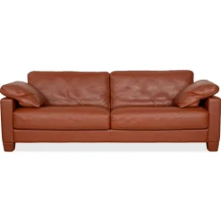 Pamono DS-17 Three-Seater Sofa in Leather from De Sede Hot