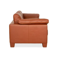 Pamono DS-17 Three-Seater Sofa in Leather from De Sede Hot