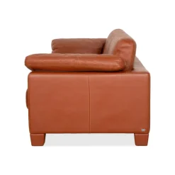 Pamono DS-17 Three-Seater Sofa in Leather from De Sede Hot