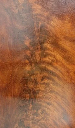 Pamono Early 19th Century Secretaire in Mahogany & Veneer Online