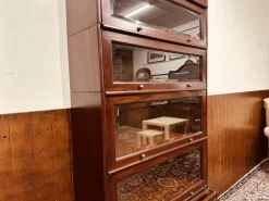 Pamono English Globe Wernicke Style Bookcase Outlet