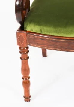 Pamono English William IV Barback Dining Chairs, 1830s, Set of 8 Clearance