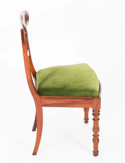 Pamono English William IV Barback Dining Chairs, 1830s, Set of 8 Clearance