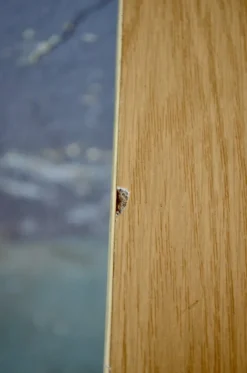 Pamono Foldable Child's Desk Sale