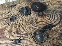 Pamono French Farmhouse Bench, 1940s Hot