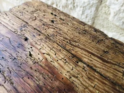 Pamono French Farmhouse Bench, 1940s Hot