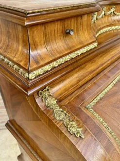 Pamono French Roll-Up Secretary, 1890s Clearance