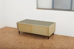 Pamono Green-Gray Plywood Lowboard with Black Metal Feet, Green Linoleum Shelf and Sliding Doors from RWD Reppisch-Werk Ag Dietikon, 1950s-1960s Best