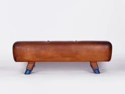 Pamono Gymnastics Pommel Horse Leather Bench with Wooden Handles, 1930s New