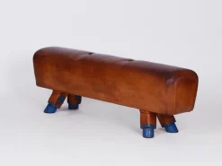 Pamono Gymnastics Pommel Horse Leather Bench with Wooden Handles, 1930s New