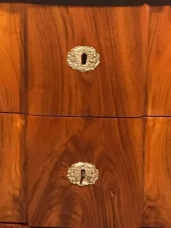 Pamono Louis XVI Chest of Drawers, Southern Germany, 1780s New