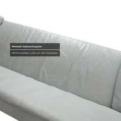 Pamono Model 1900 3-Seater Sofa in Leather from Rolf Benz Hot