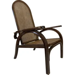 Pamono Morris Adjustable Chair by Otto Prutscher for Thonet, 1920s Best